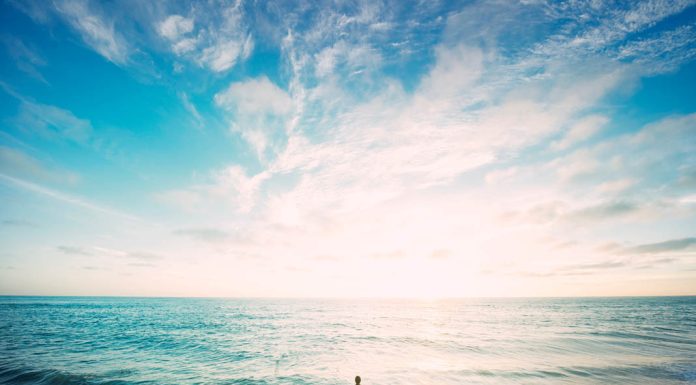 The 2016 Mobile Games You Don’t Want to Miss