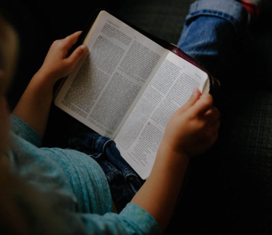 Must Have Beauty Kits & Palettes